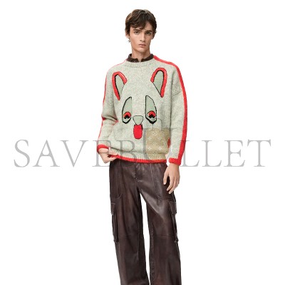 LOEWE X LOUIS WAIN SWEATER IN WOOL H526Y14KNP