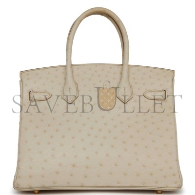 HERMES MASTER BIRKIN 30 OSTRICH PALLADIUM HARDWARE (30*22*16cm) HERMES MASTER BIRKIN 30 OSTRICH PALLADIUM HARDWARE (30*22*16cm)