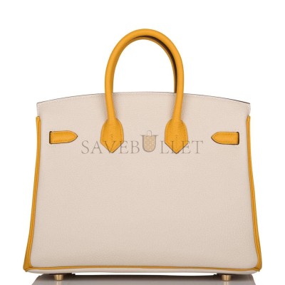 HERMES BIRKIN 25 TOGO BRUSHED GOLD HARDWARE (25*20*13cm) HERMES BIRKIN 25 TOGO BRUSHED GOLD HARDWARE (25*20*13cm)