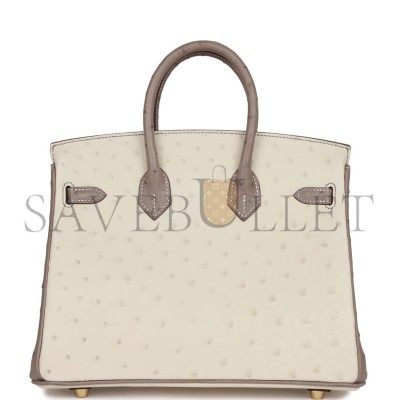 HERMES MASTER BIRKIN 25 OSTRICH BRUSHED GOLD HARDWARE (25*20*13cm) HERMES MASTER BIRKIN 25 OSTRICH BRUSHED GOLD HARDWARE (25*20*13cm)