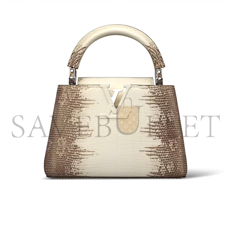 LOUIS VUITTON CAPUCINES MINI 855156 (21*13.6*8cm)