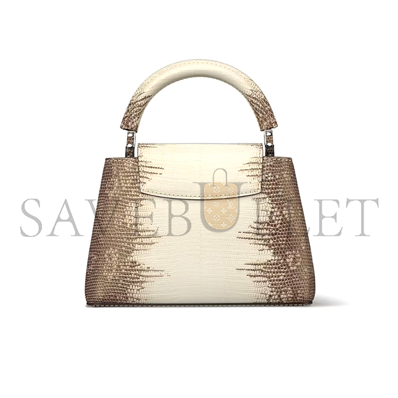 LOUIS VUITTON CAPUCINES MINI 855156 (21*13.6*8cm)