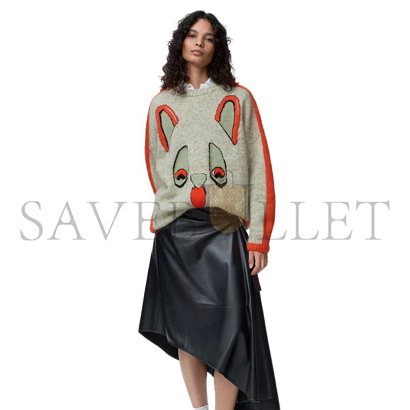 LOEWE X LOUIS WAIN SWEATER IN WOOL H526Y14KNP