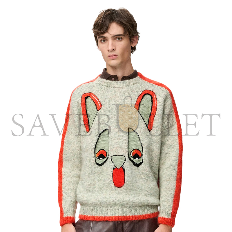 LOEWE X LOUIS WAIN SWEATER IN WOOL H526Y14KNP