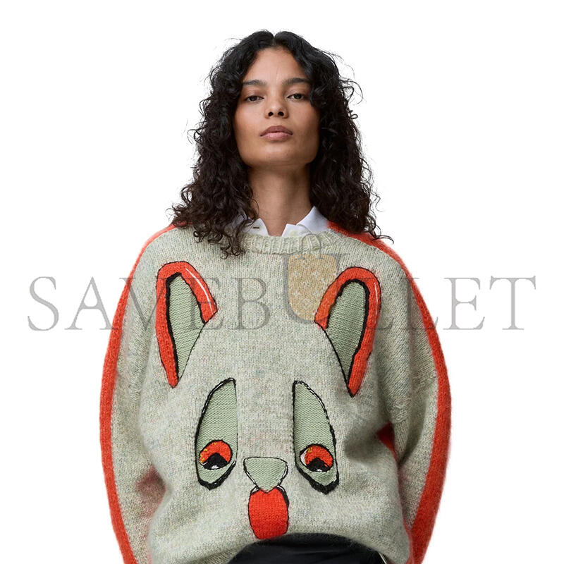 LOEWE X LOUIS WAIN SWEATER IN WOOL H526Y14KNP