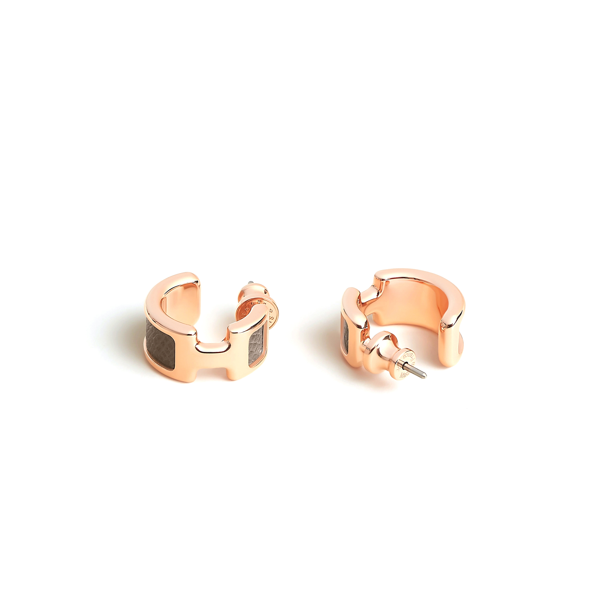 Earings